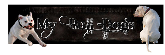 Banner08