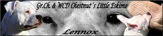 Banner juli 08 klein