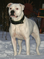 Bild 136bkl