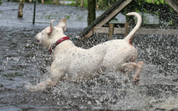 HP Hochwasser066