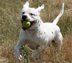 IMG_2880a (WinCE)