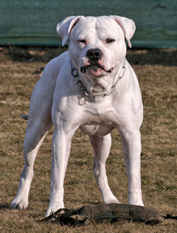 Lennox Februar 2011 HP