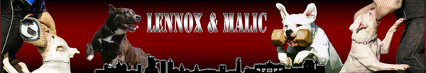 Lennox  Malic1 klein03